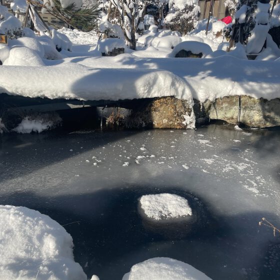 冬の氷かけた池