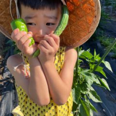 夏野菜を両手に、傘を被った男の子