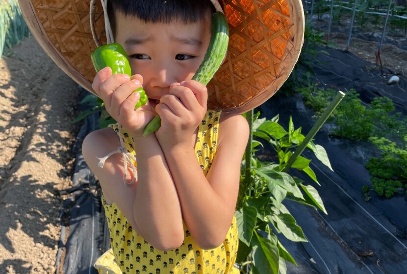 夏野菜を両手に、傘を被った男の子