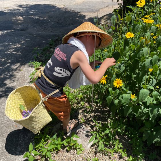 お花を摘む、傘を被った男の子