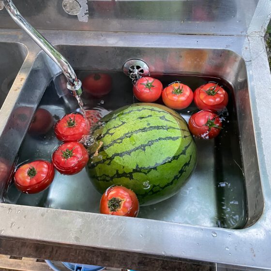 水で冷やされてるスイカとトマト