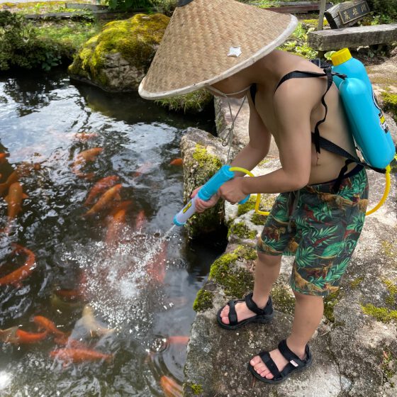 鯉の池で水鉄砲で遊ぶ男の子